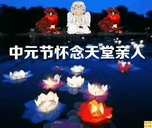 1757225231320261.jpg 9.jpg